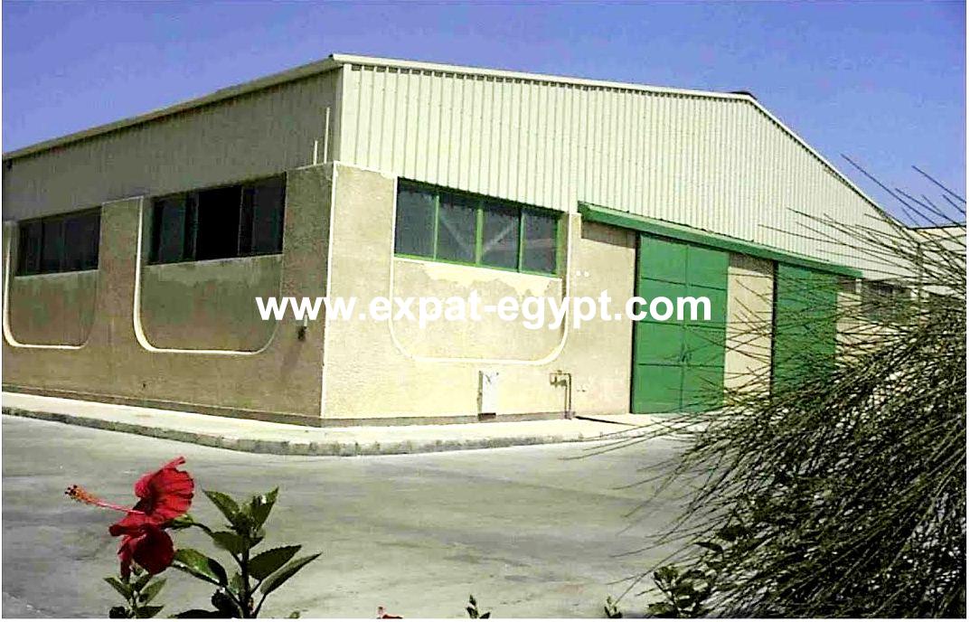 Factory for Rent in Cairo Alex road , Giza